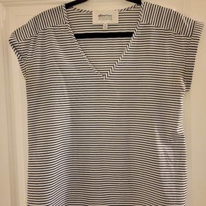 Alice Blue Striped v-Neck, Size M